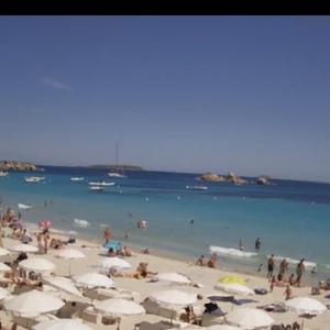 单纯饭团Ii5 头像