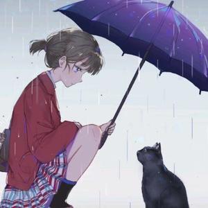 荷叶聊情感 头像