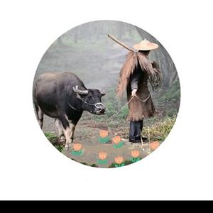老下岗马车夫