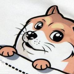 狗哥说游戏 头像