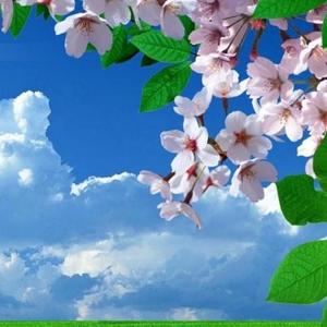 智慧创作达人