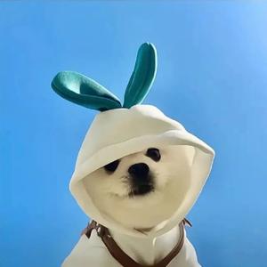 黎明之前-减脂版 头像