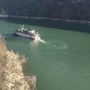 优雅孔雀G 头像