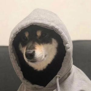 娱乐天下知 头像