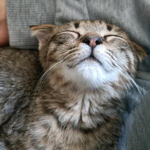 攸往养生实证 头像