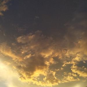 小牛快跑抖音同名 头像