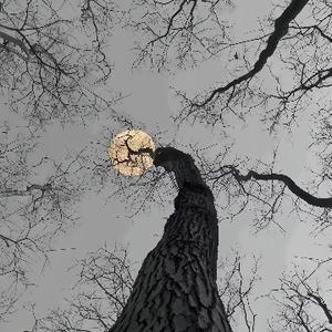 洒脱的一起吹晚风 头像