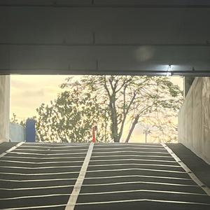 到果园摘果的农人 头像