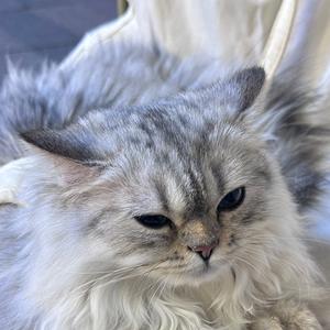 满池王八我壳最绿 头像