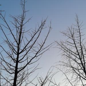 你来帮我起个名 头像