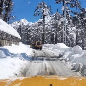 雪域高原的爱头像