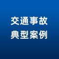 交通事故典型案例 头像