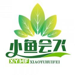 小鱼会飞头像