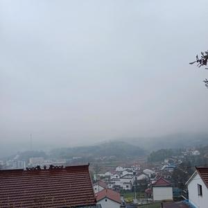 视野贝弗莉2E5 头像