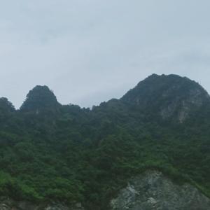 廿一书斋