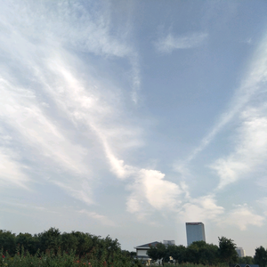 觉醒之虎2018 头像