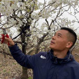 唐老师果园种植讲解头像