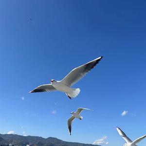 小伟爱吃土豆 头像