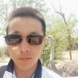 芭蕉洞的李夫人 头像