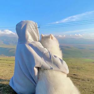 桃花般的小蛮腰 头像