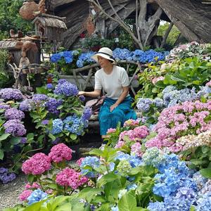 芳菲之旅头像