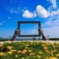 逛山东 头像
