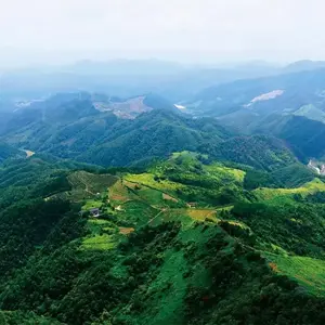 大山谈事头像