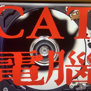 CAT脑33bh头像