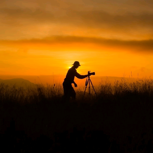 西北网络人 头像