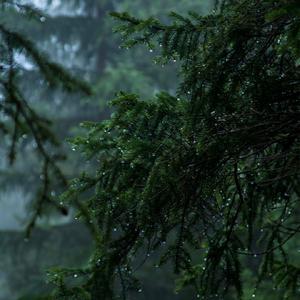 天天情感说 头像