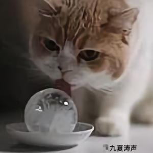 九夏涛声