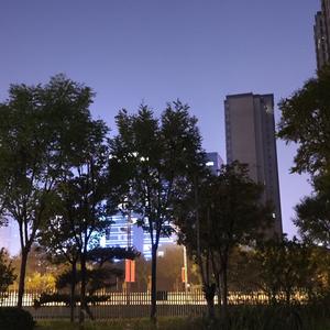 博学的豆花n 头像