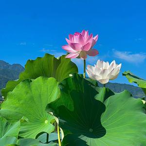 李姐分享情感故事 头像