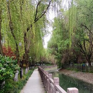 诗意人生探索家 头像