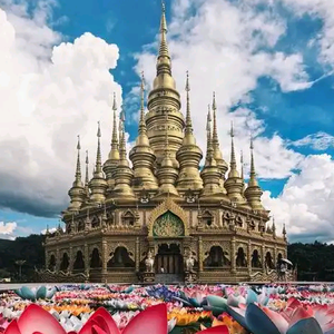 云南酒店刘皇叔 头像