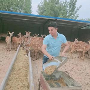 山东养鹿老司5U1d 头像