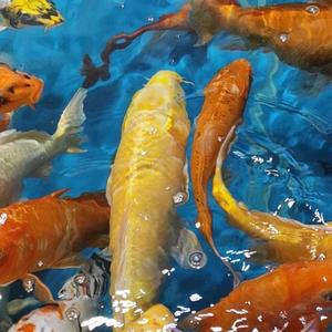 老谭视频工作室 头像