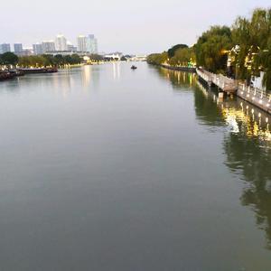 影掠浮光