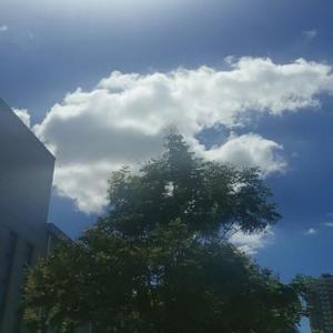 憋撂行万里拉稀路拦行 头像