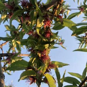 未来有可盼 头像