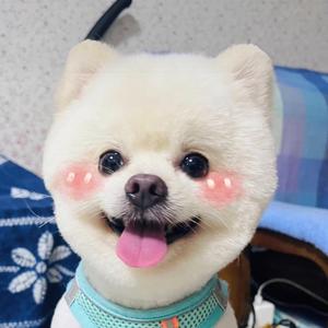 热爱编程的通信人 头像