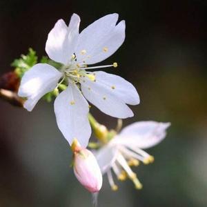 灵水儿2019 头像