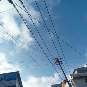 董小姐带你看世界 头像