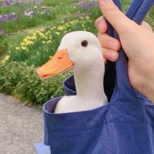 沐酱在路上 头像