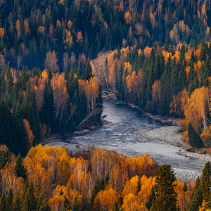 进步榆树0F0 头像