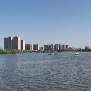 东方老戴