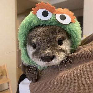 小懒记录版 头像