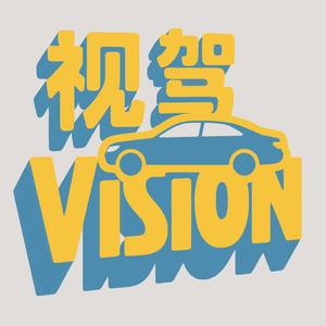 视驾Vision 头像