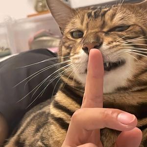 乔治动漫游戏 头像