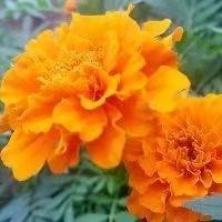 秋姐的岁月慢行录 头像